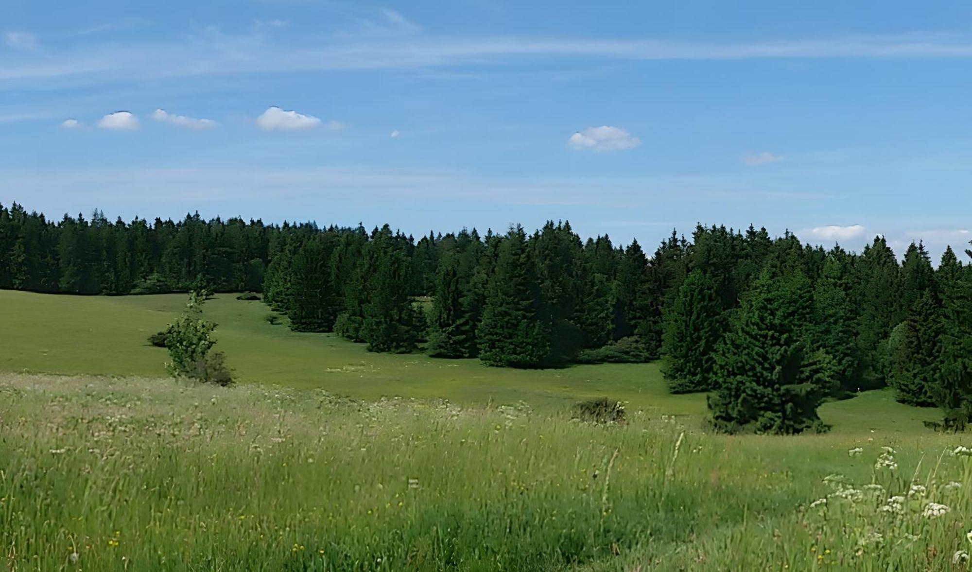 Ferienhaus Zur Schoenen Aussicht Hardt  Zewnętrze zdjęcie